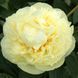 Seidl&rsquo;s Super 3/5 2875 фото 2