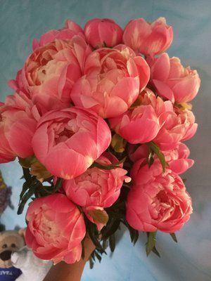 Coral charm 3/5 0005 фото