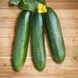 Салім F1, 20 шт, NongWoo Bio (Корея) 0906 фото 1