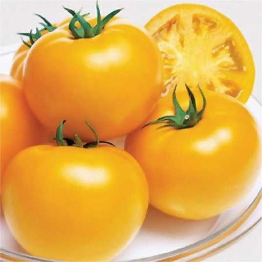 Ямамото (KS 10) F1 великоплідний жовтий, 8 шт, Kitano Seeds (Нідерланди) 0809 фото