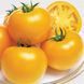 Ямамото (KS 10) F1 великоплідний жовтий, 8 шт, Kitano Seeds (Нідерланди) 0809 фото 2