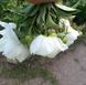 Duchesse de Nemours 3/5 0012 фото 6