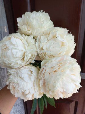 Solange 3/5 0014 фото