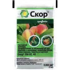 Скор 25% к.е. 2 мл,Syngenta (Швейцарія) 2392 фото