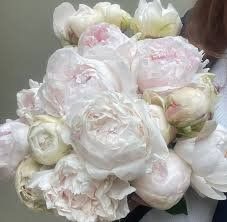 Odile 3/5 0365 фото