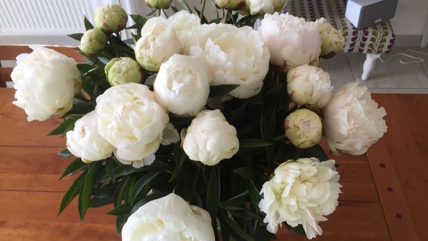 Madame Claude Tain 3/5 0041 фото