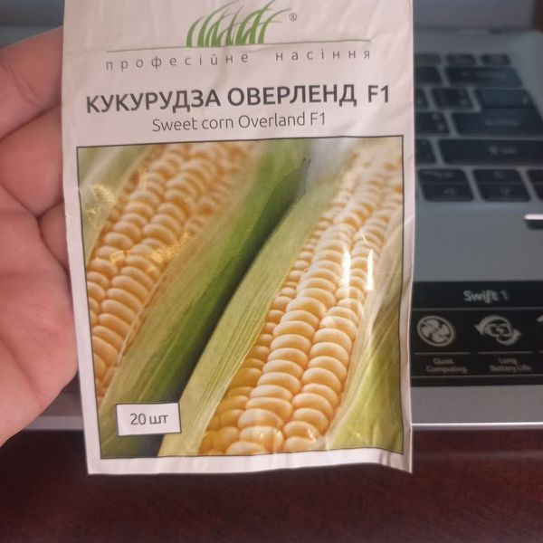 Оверленд F1, 50 г, Syngenta (Нідерланди) 1312 фото
