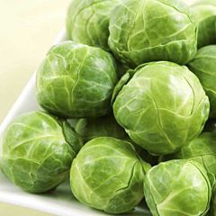 Долорес F1, 20 шт, Moravo seeds (Чехія) 1266 фото