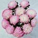 Айстра піоновидна Тауер срібно-рожевий 2 г, Satimex (Німеччина) 3050 фото
