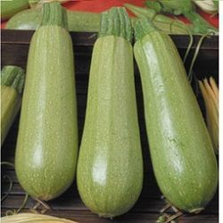 Немо F1, 5 шт, Lark Seeds (США) 1038 фото