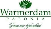 WARMERDAM