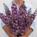 Магічний Фонтан lilac pink white bee 200 шт, Benary, Німеччина 0528 фото