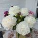 Mother's Choice 3/5 0284 фото 3