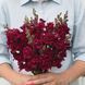 Мадам Батерфляй F1 (махрові, зріз) mix 100 шт червоний Syngenta Flowers, Нідерланди 0632 фото