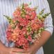 Мадам Батерфляй F1 (махрові, зріз) бронзовий біколор 100 шт Syngenta Flowers, Нідерланди 0634 фото