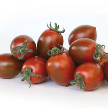KS 277 F1, тигрова сливка, 8 шт, Kitano Seeds (Нідерланди) 0863 фото