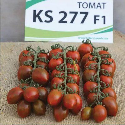 KS 277 F1, тигрова сливка, 8 шт, Kitano Seeds (Нідерланди) 0863 фото
