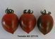 KS 277 F1, тигрова сливка, 8 шт, Kitano Seeds (Нідерланди) 0863 фото 5