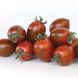 KS 277 F1, тигрова сливка, 8 шт, Kitano Seeds (Нідерланди) 0863 фото 2