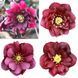 Чемерник (морозник) Quintessa Ruby 2711 фото 4