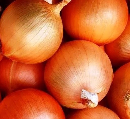 Копер Бол F1 10 г, United Genetics (Італія) 1336 фото