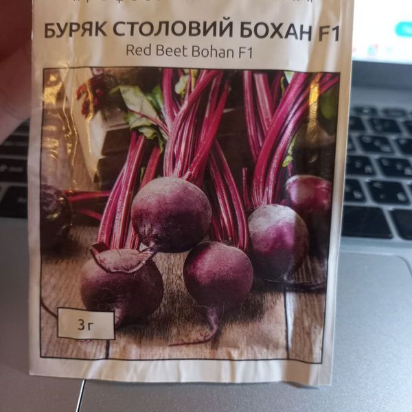 Бохан F1 круглий, 3 г Bejo Zaden (Нідерланди) 0744 фото