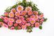 Айстра китайська Matsumoto, Pink, Sakata 0095 фото 1