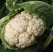 Ількар F1, 20 шт, NongWoo Bio (Корея) 1287 фото 1